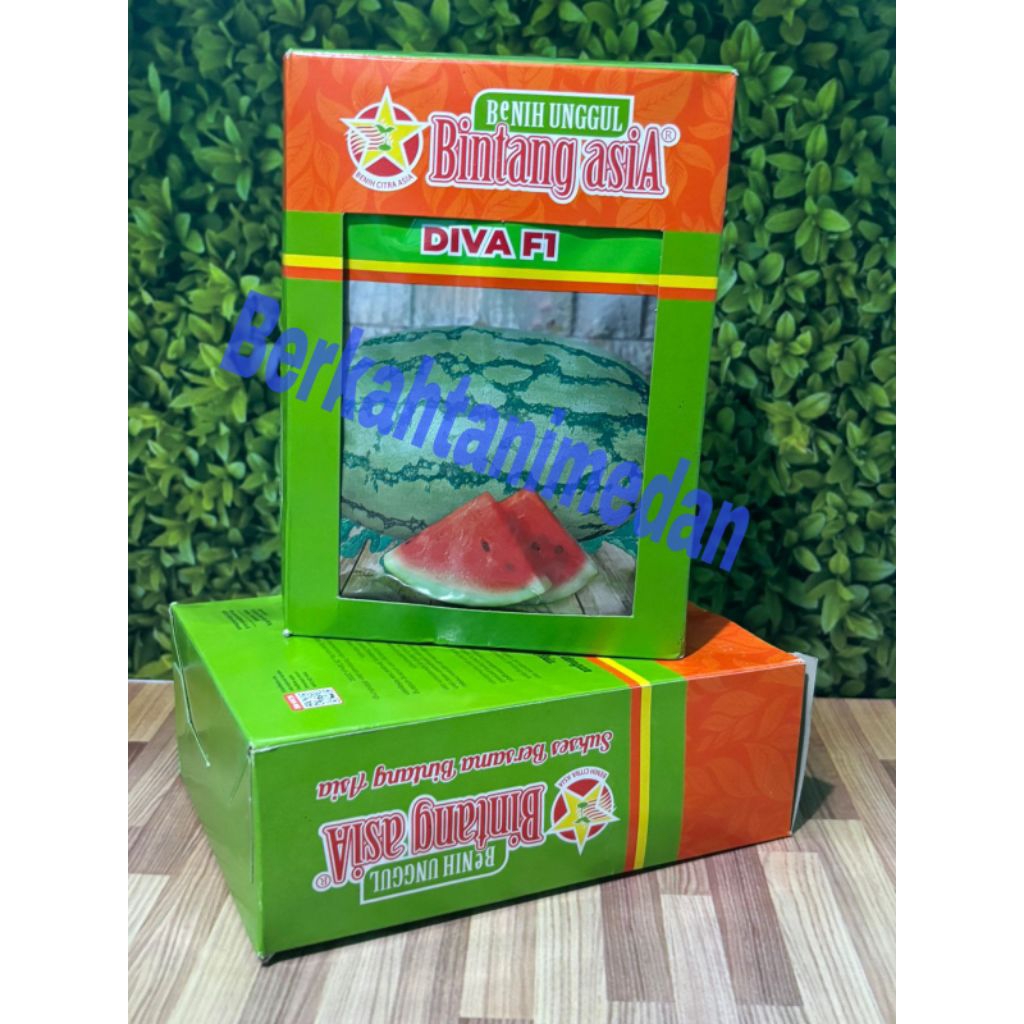 1 Kotak/ 10 Bungkus Benih Semangka Merah DIVA F1 Bintang Asia 20gr ( Bibit Semngka Lonjong Manis Bes