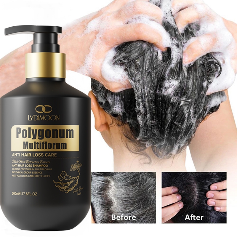 Shampo Penghilang Uban Permanen Penghitam Black Shampoo Sampo serum herbal 500ml Mengubah rambut put