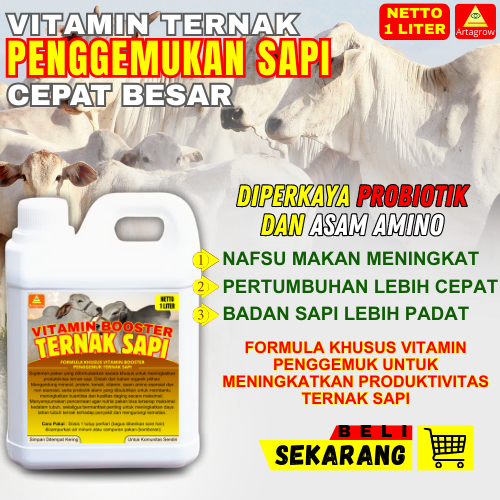 Vitamin Sapi Cepat Gemuk  Obat Penggemukan Sapi Nafsu Makan Tinggi Super Dokoh Cepat Besar Dan Sehat