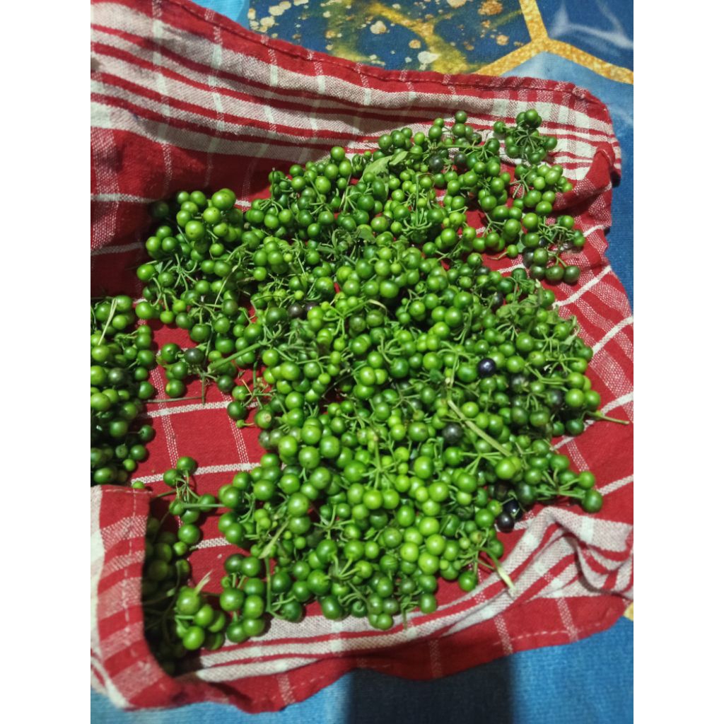 leunca segar 500g-1kg