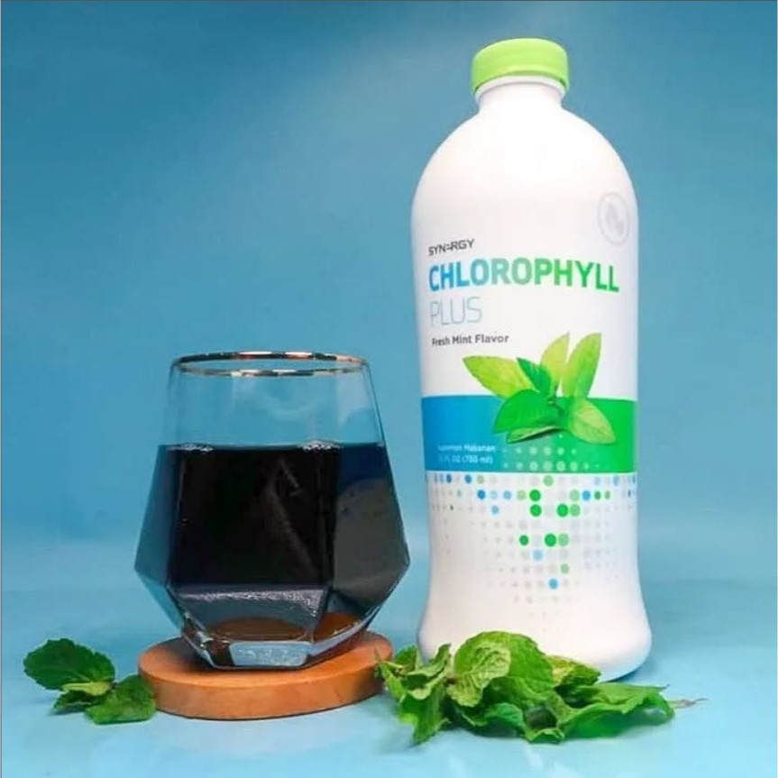 Chlorophyll Plus Synergy Minuman Herbal Asli 100%