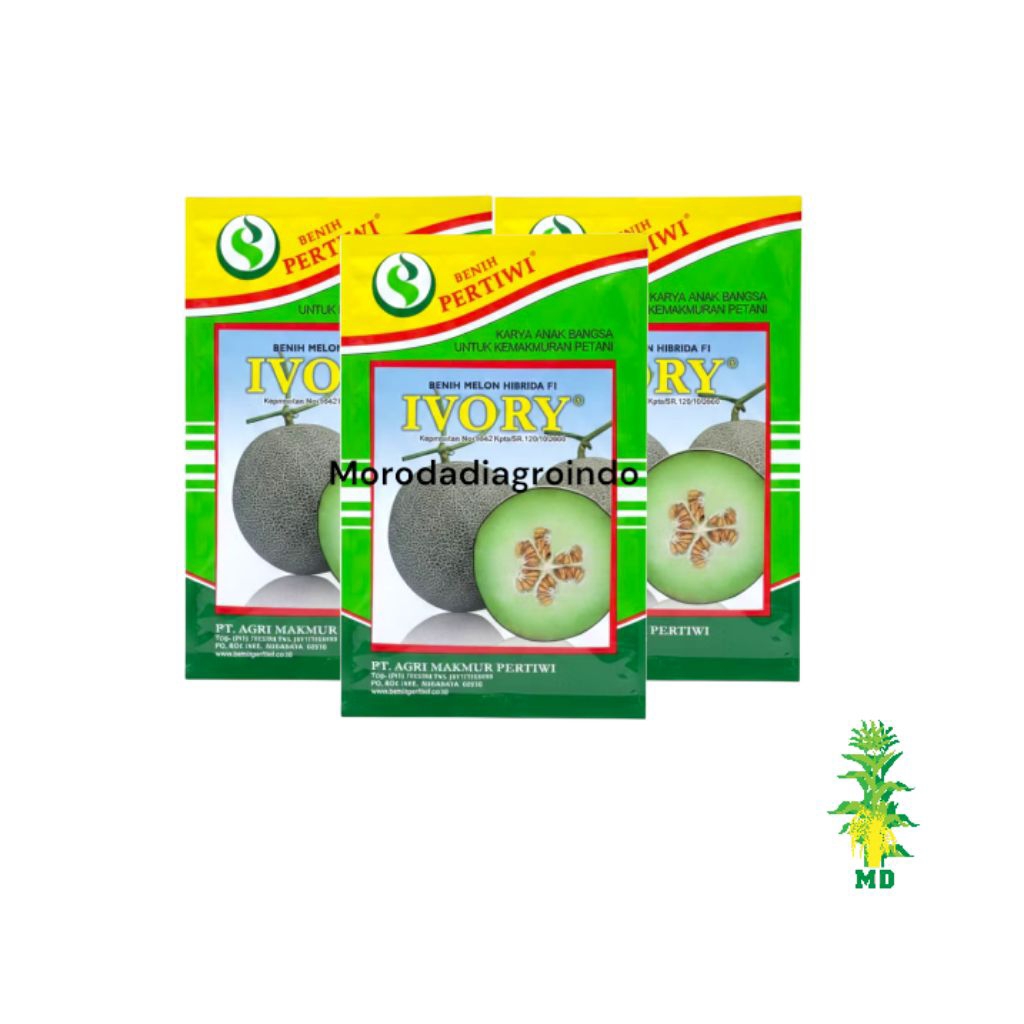 BENIH MELON NEW IVORY ANVI F1 13 GR PERTIWI