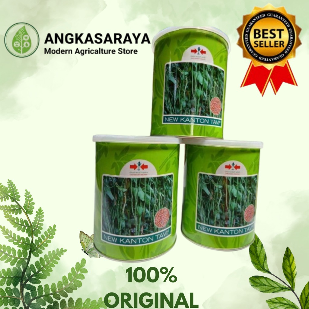 TERBARU  NEW KANTON TAVI KALENG 500GR BENIH KACANG PANJANG