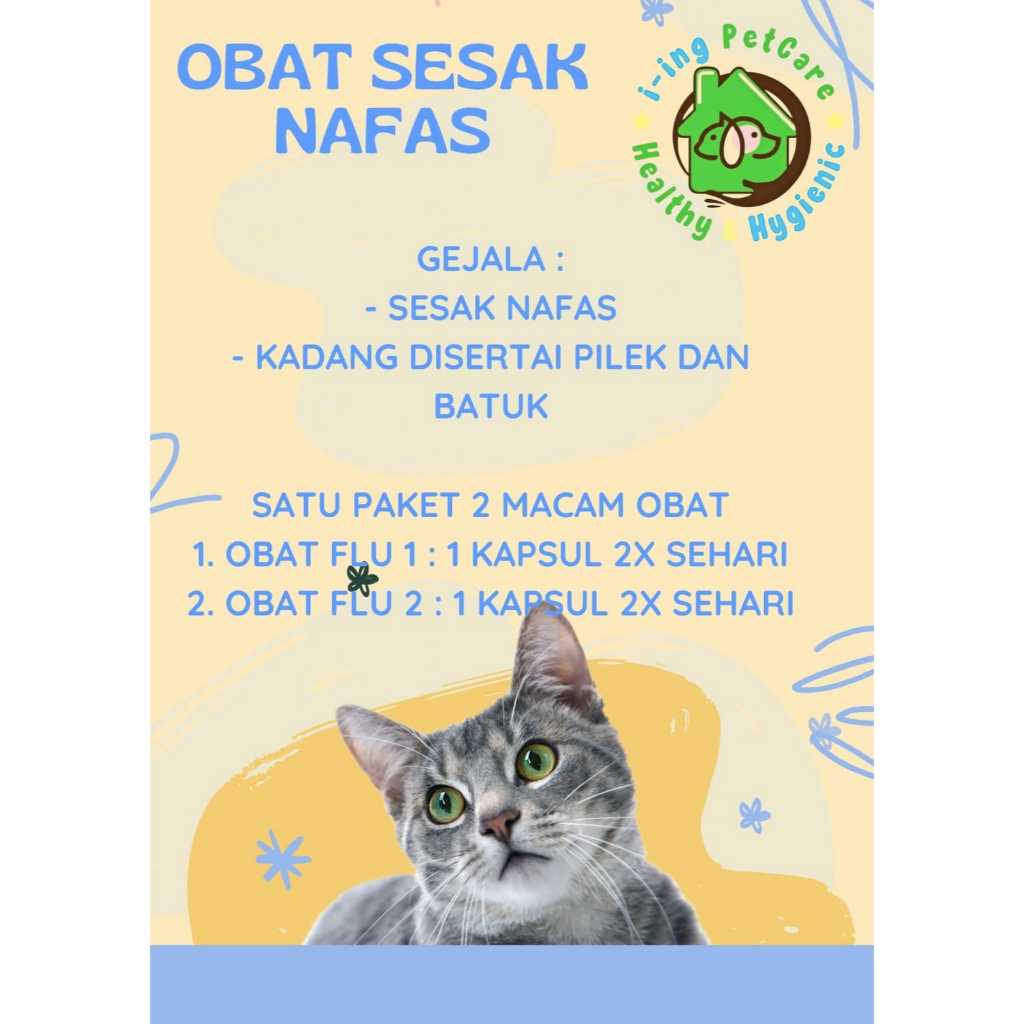 Obat sesak nafas kucing