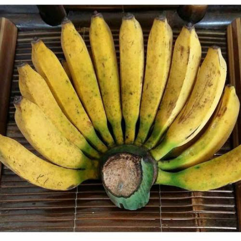 PISANG RAJA BULUH SUPER PER 1 SISIR.