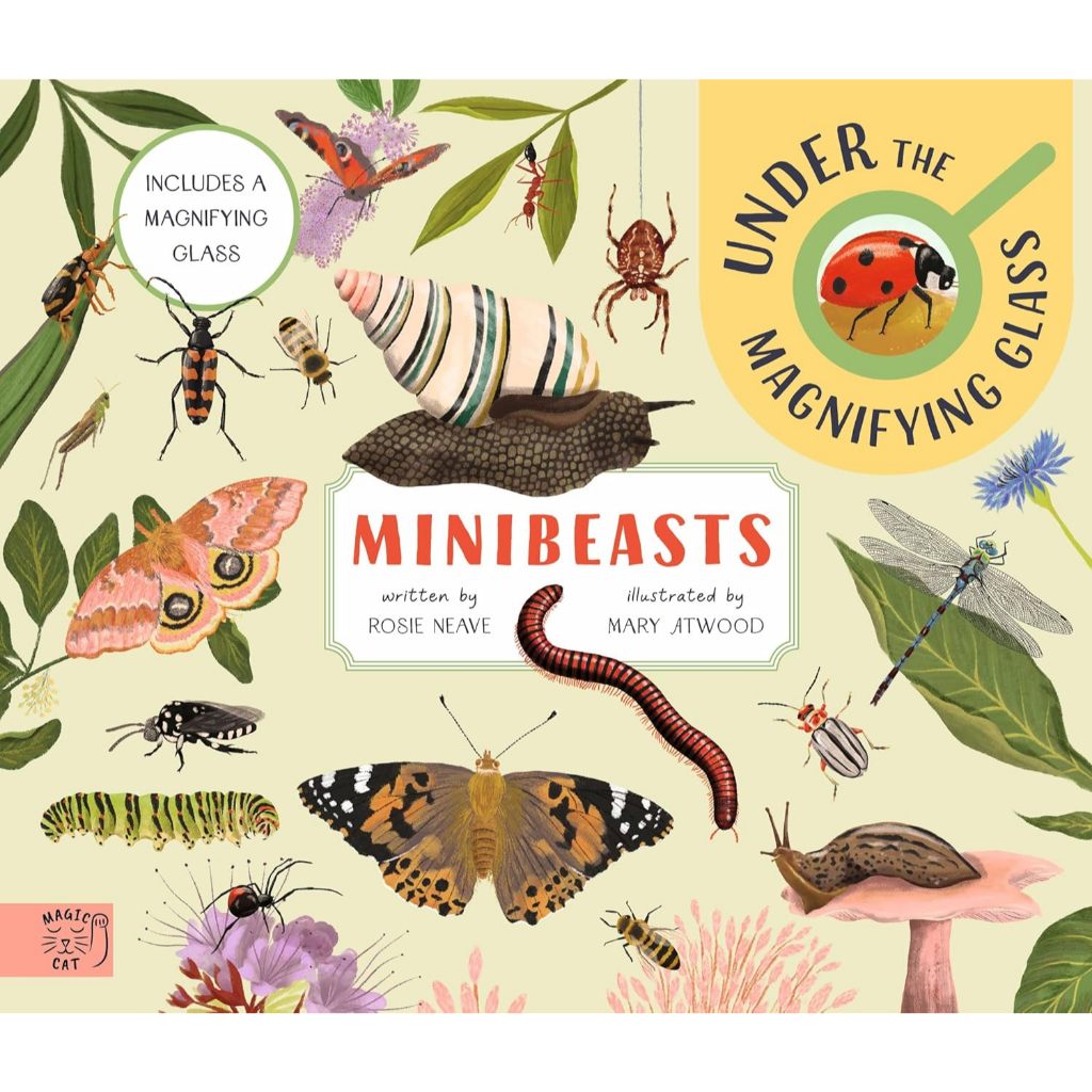 Minibeasts: Under the Magnifying Glass