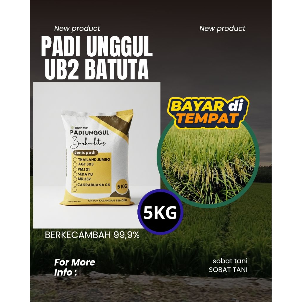 Benih Padi Unggul UB2 BATUTA 5kg - Bibit Padi Genjah Berkualitas SuperBenih Padi UB2 BATUTA Kemasan 