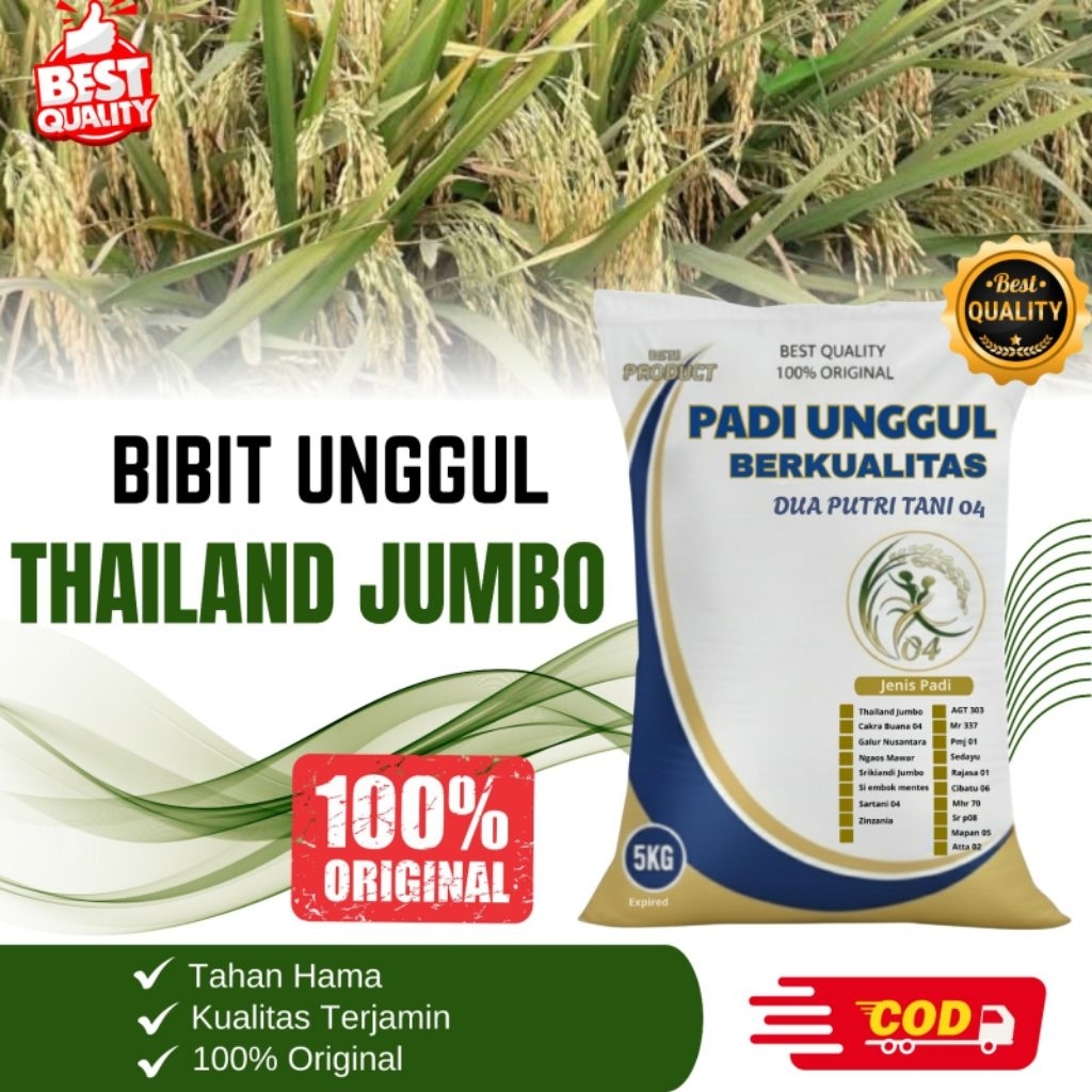 BIBIT PADI THAILAND JUMBO kemasan 5kg