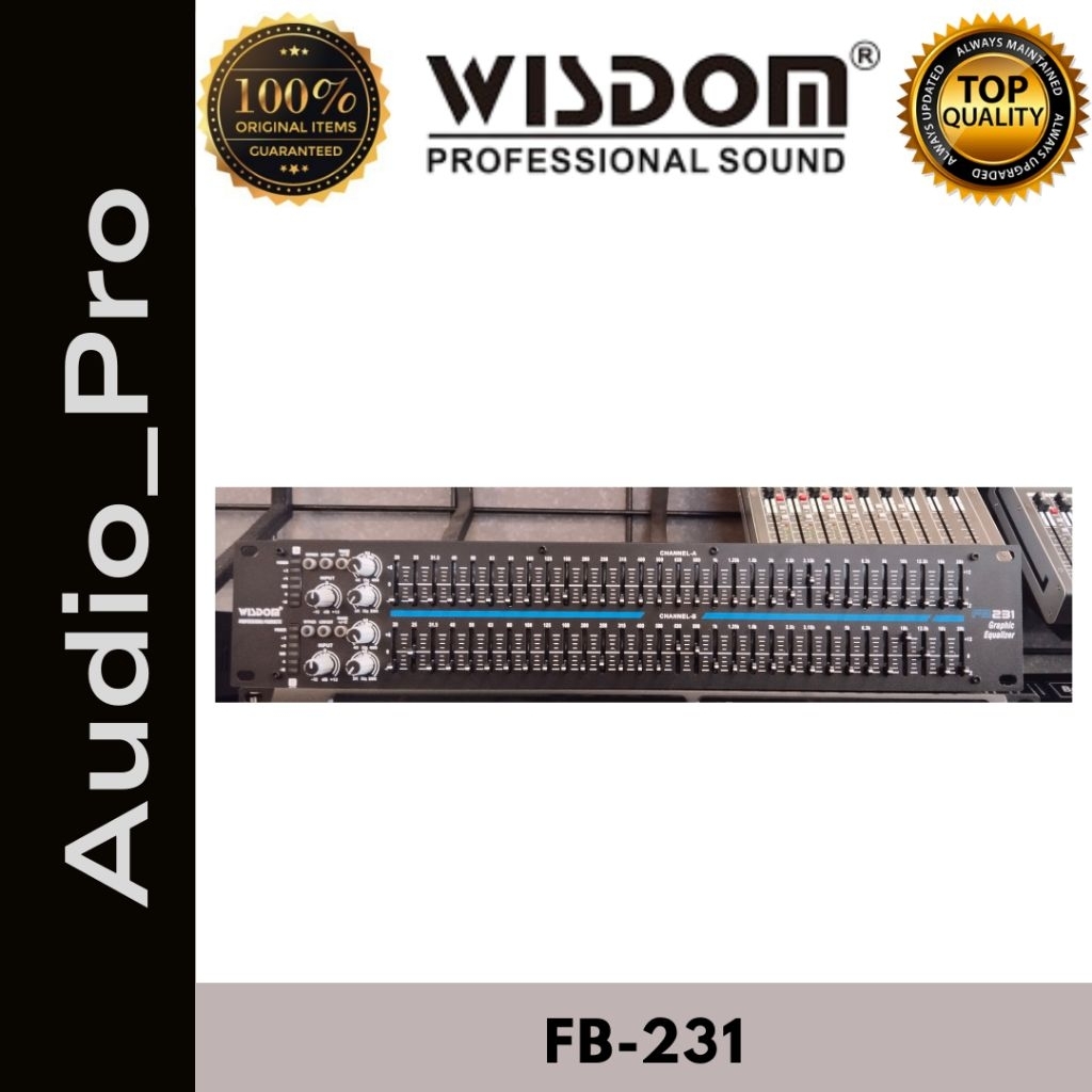 EQUALIZER WISDOM FB231