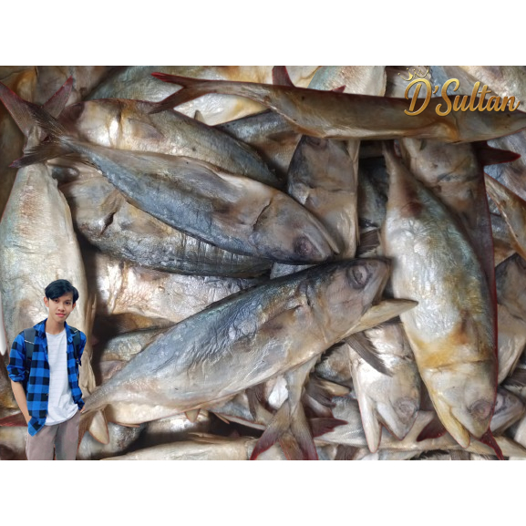 IKAN ASIN PEDA TABANIO Kalimantan Selatan Ukuran Besar Berat Bervariasi Kualitas Super Renggean Coco