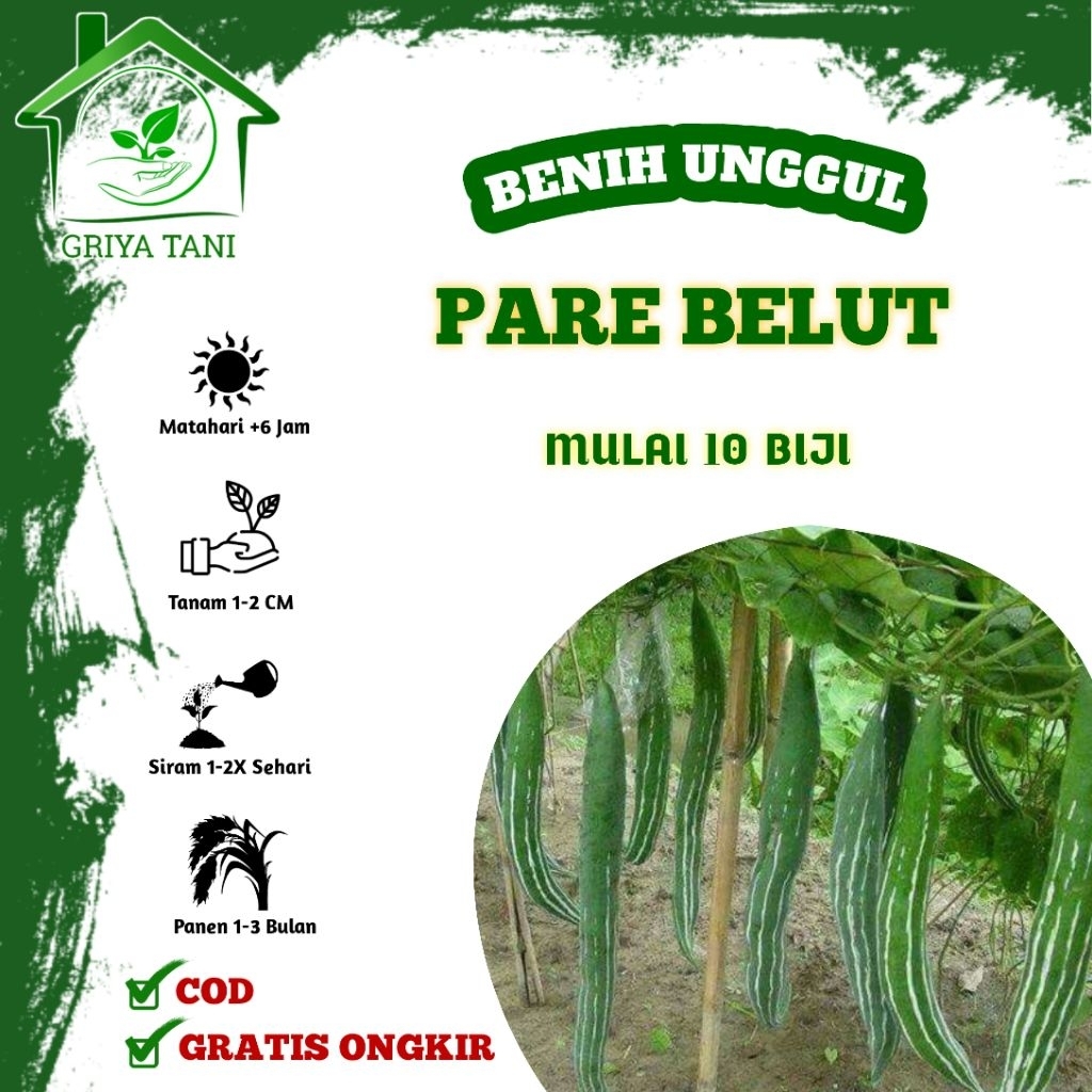 Benih Pare Belut Unggul - Benih Pare Belut Panjang Eksotis & Super Lebat