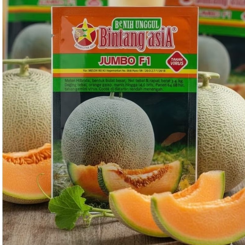 Benih Melon JUMBO F1 20 Gram Bintang Asia