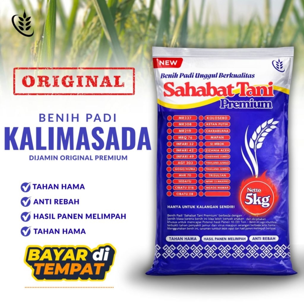 Bibit Padi Kalimasada 5kg Original Sahabat Tani