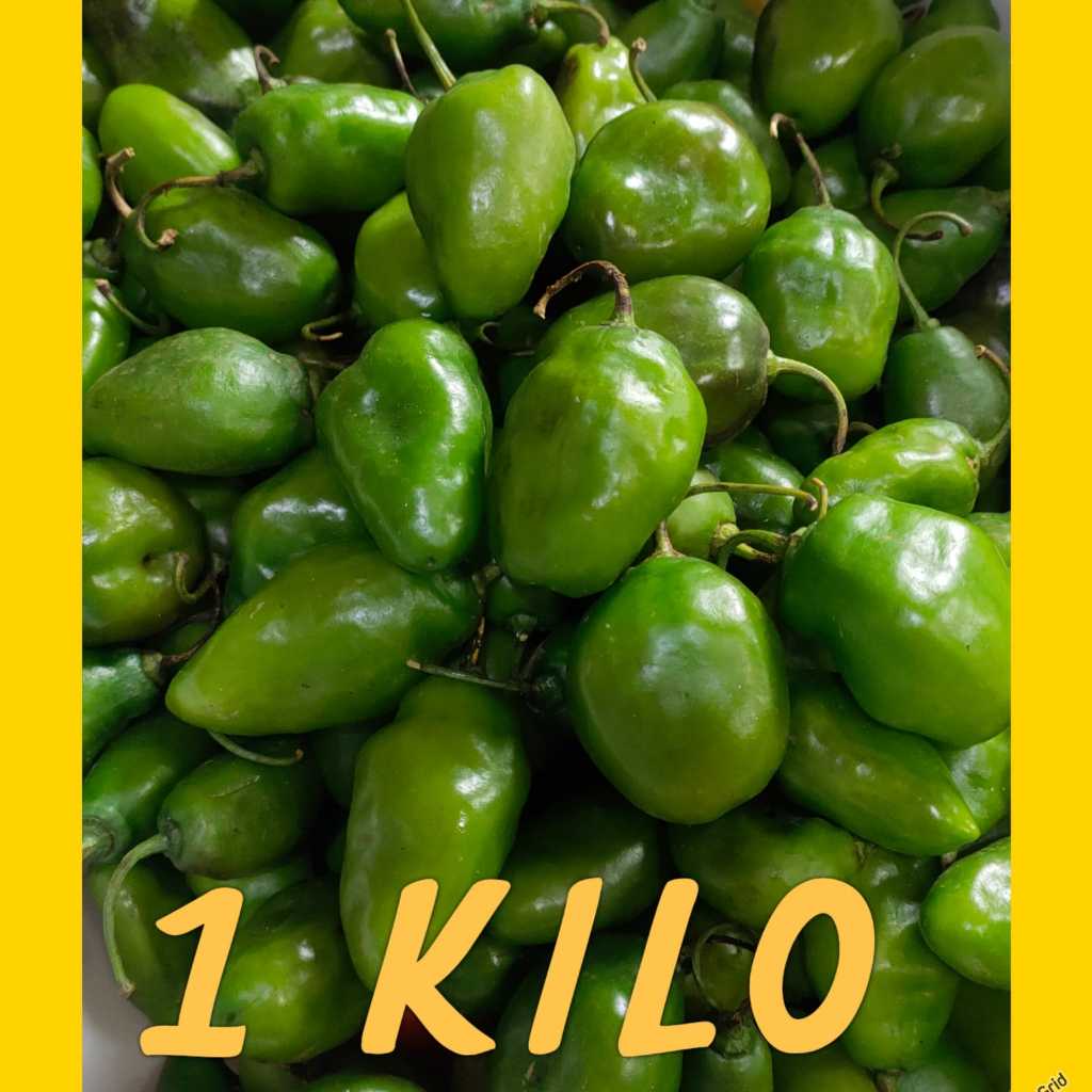 CABE GENDOT SEGAR 1 KG - CABAI BENDOT ASLI BANDUNG PEDAS ALAMI