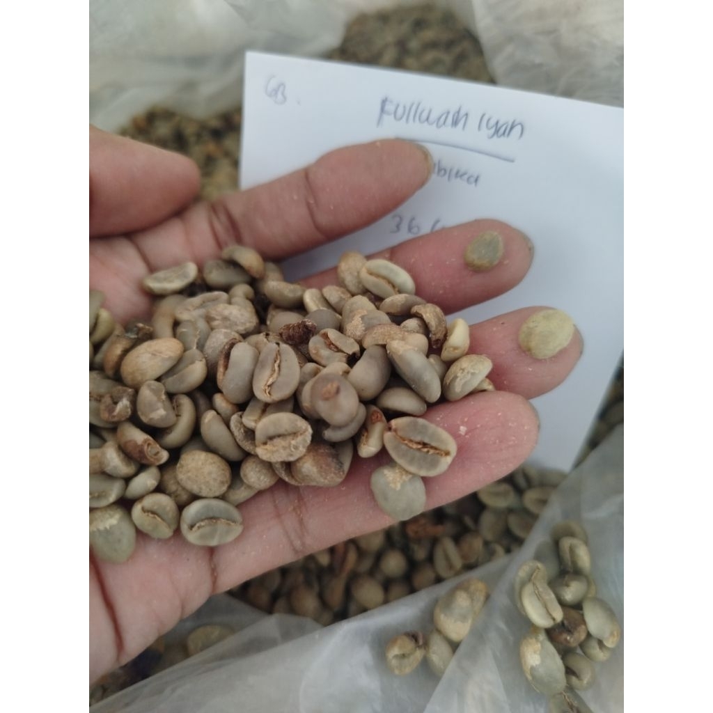 Green bean arabika ciwidey fullwash G1