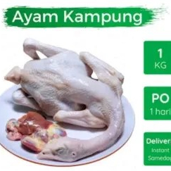 AYAM KAMPUNG 1 EKOR 1kg