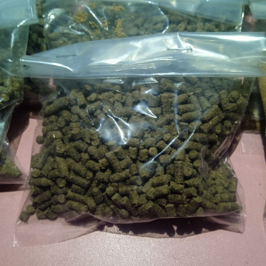 pakan lobster air tawar