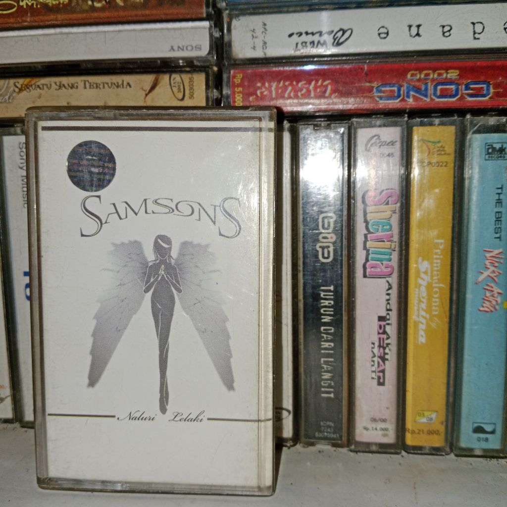 Kaset Samson Naluri Lelaki