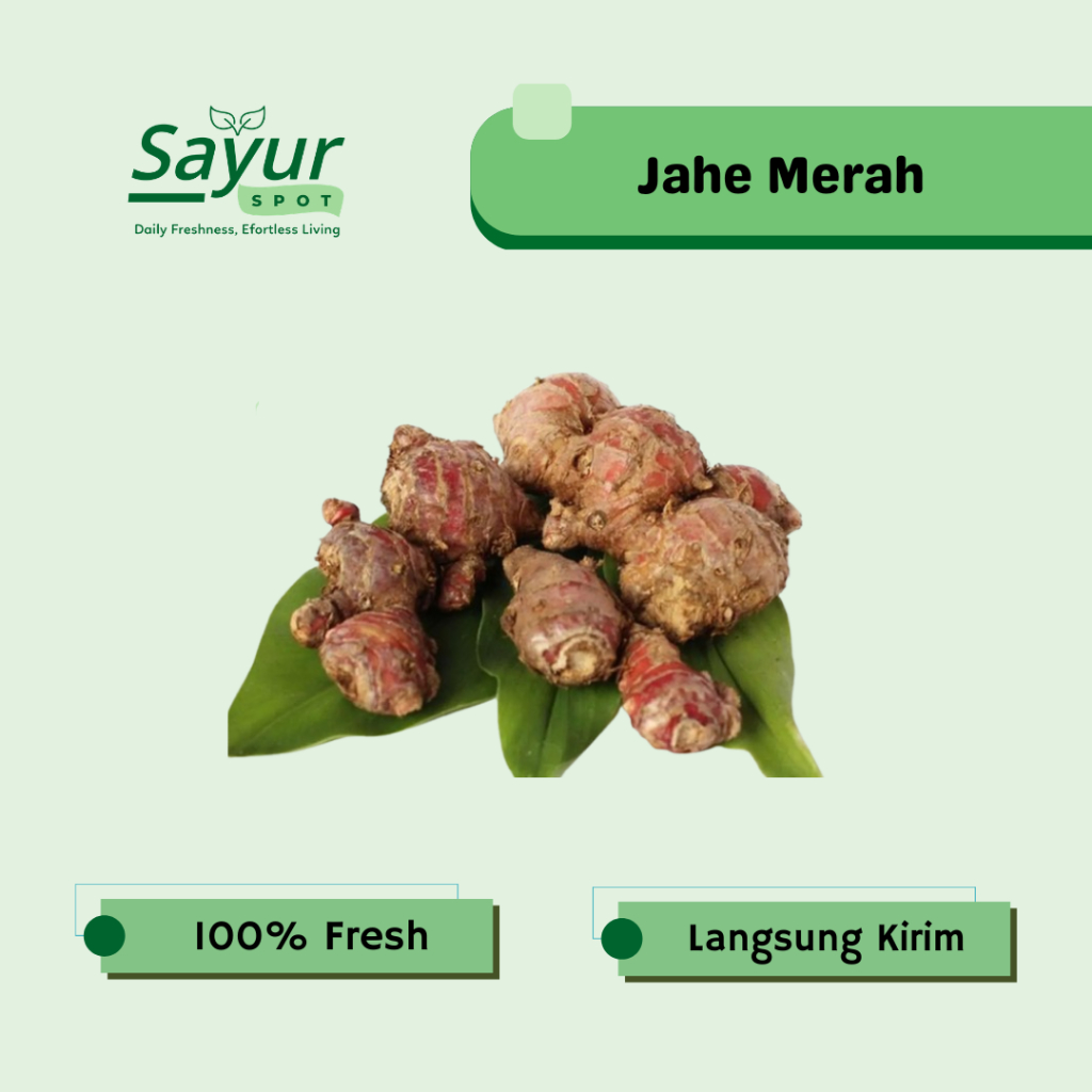 Jahe Merah Segar / Sayur Bekasi | Sayur Spot Bekasi