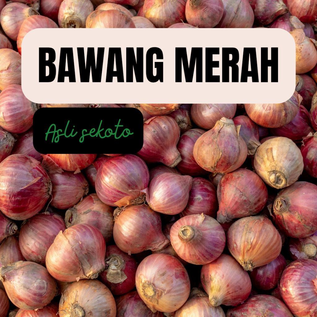 bawang merah 1kg