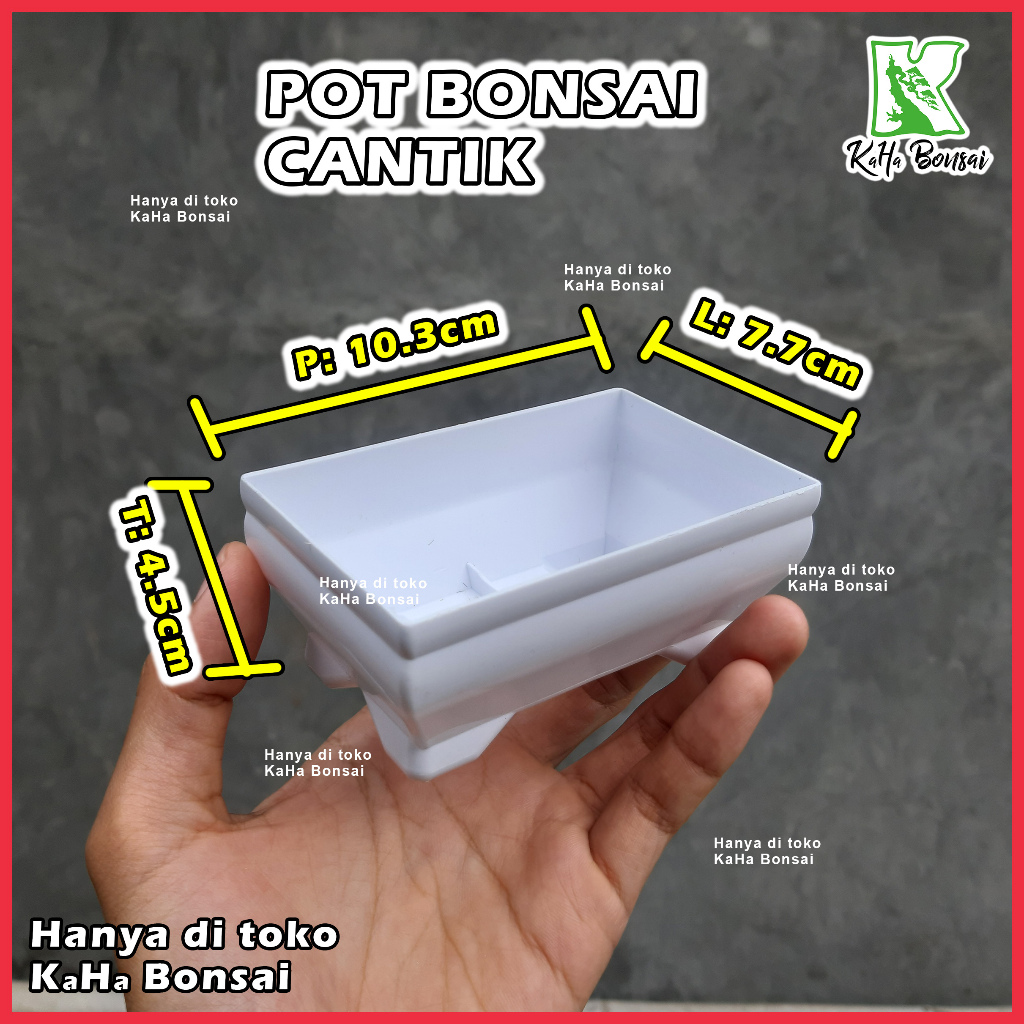 Bonsai Sitho Pot Bonsai Mame Pot Bonsai Kotak Kecil Bonsai Pot Plastik Kotak Kecil Pot Kotak 10 cm B