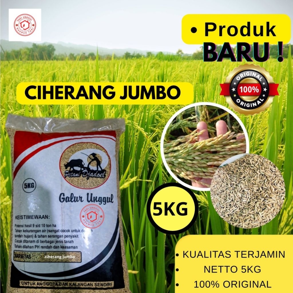Bibit Benih Padi Unggul CIHERANG JUMBO 5KG