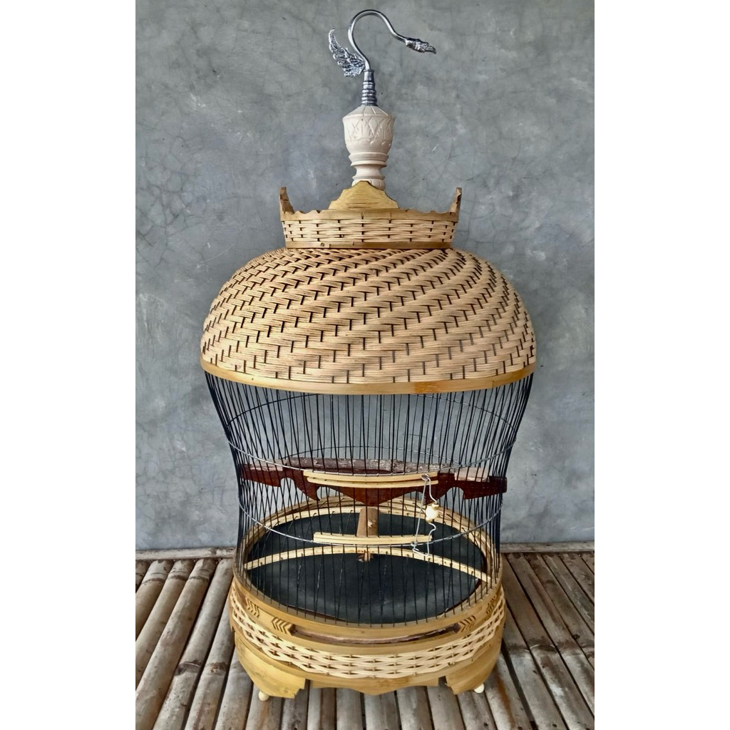 sangkar lomba burung perkutut