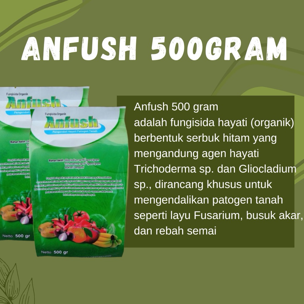 ANFUSH 500GRAM FUNGISIDA