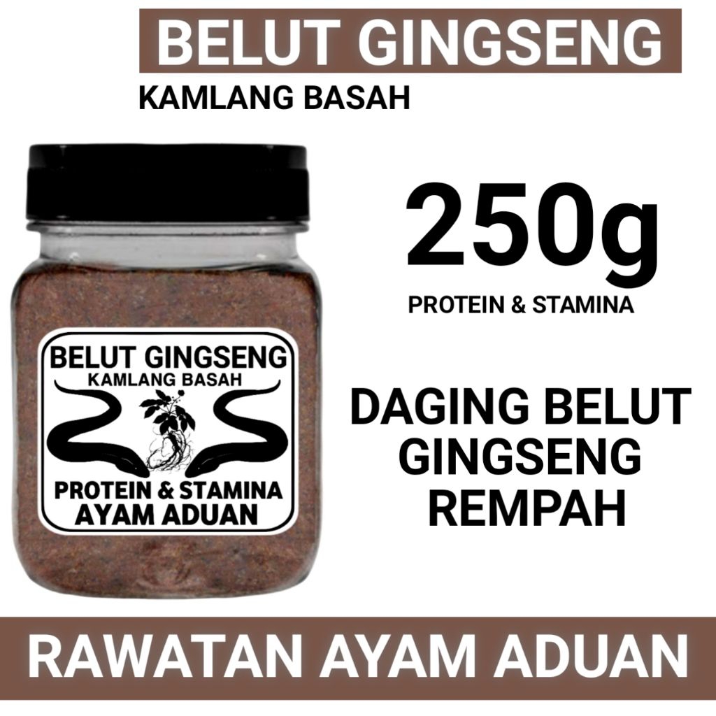 Jamu komplit ayam aduan fooding ekstra belut gingseng