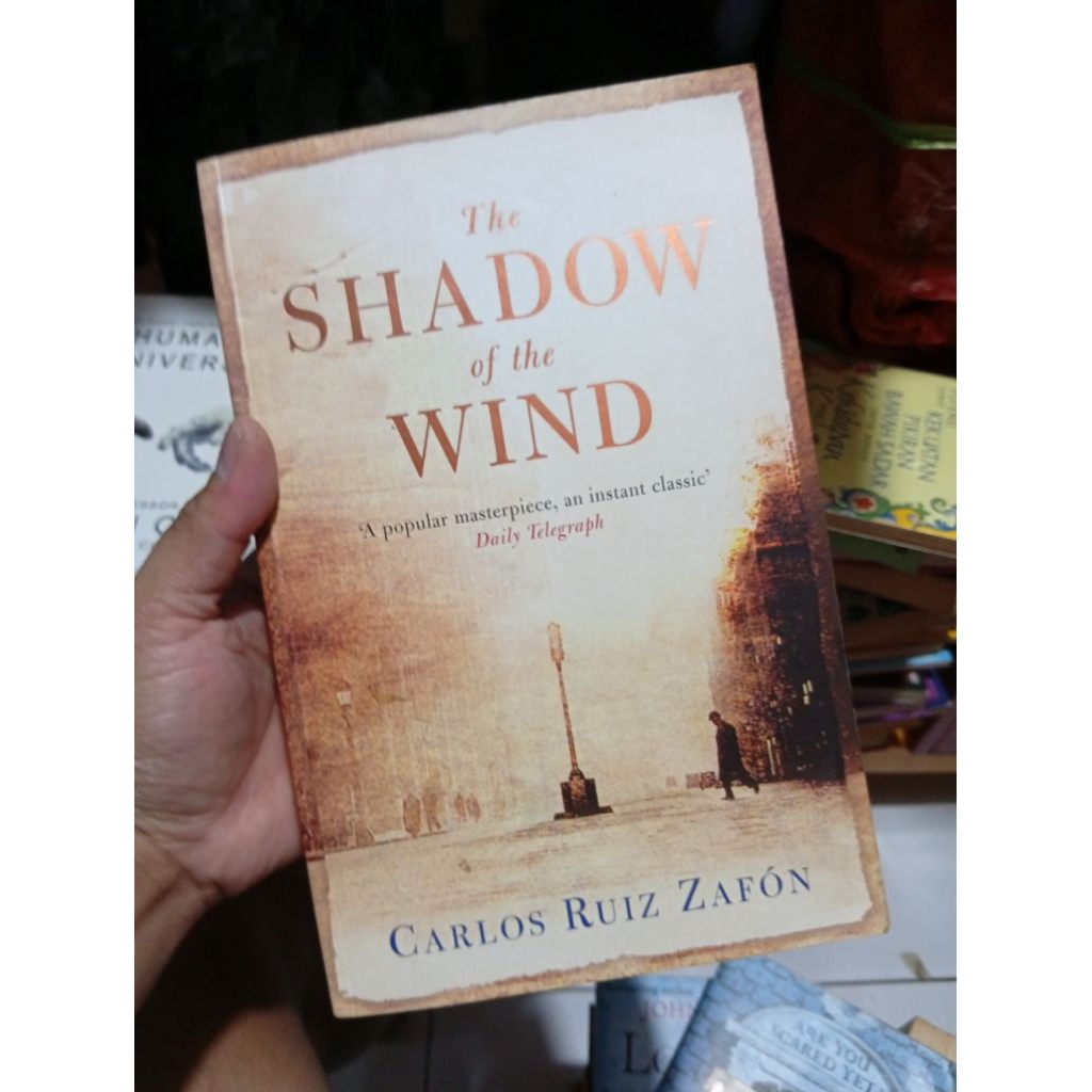 the shadow of the wind english books