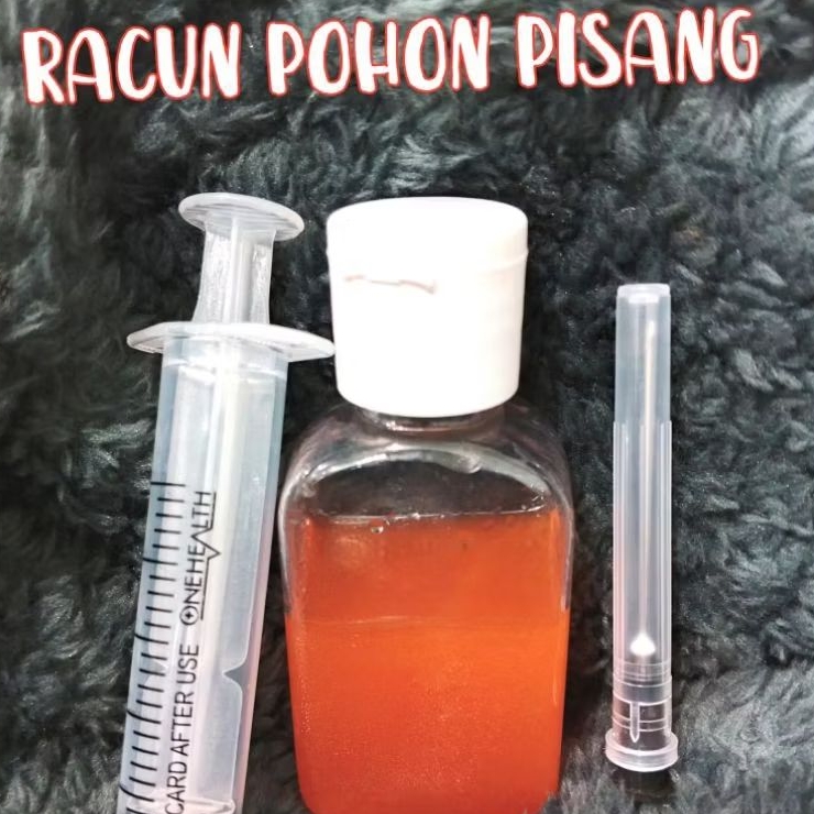 INJEKSI Racun Pohon Pisang Liar AMPUHH (SUNTIK)
