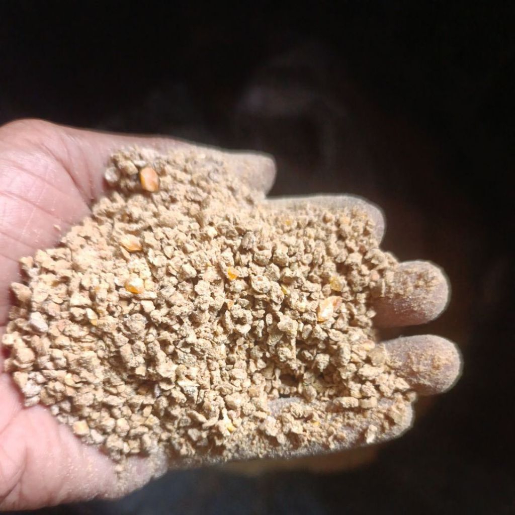 Pakan konsentrat BR 1 (Broiler 1) komplit starter ayam broiler usia 0-21 hari atau masa brooding