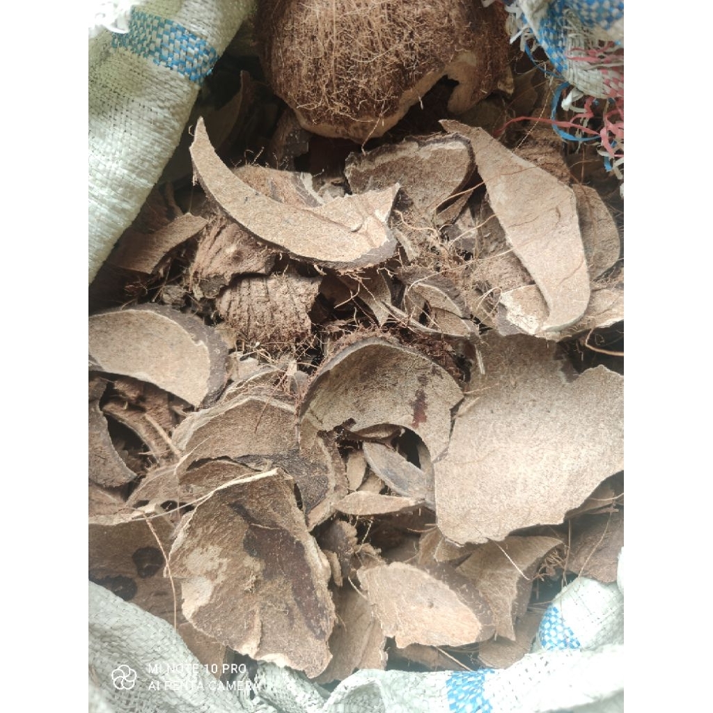 Batok Kelapa Kering Cacah Kemasan 1Kg