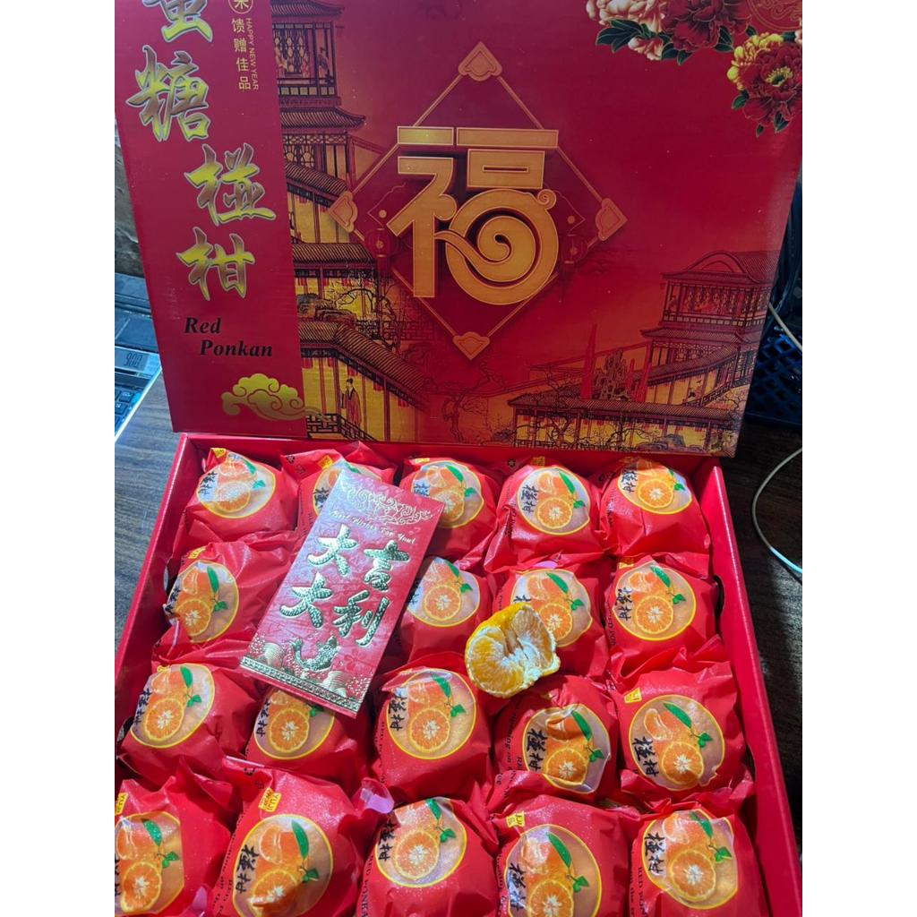 Jeruk Ponkam Imlek Sincya Premium