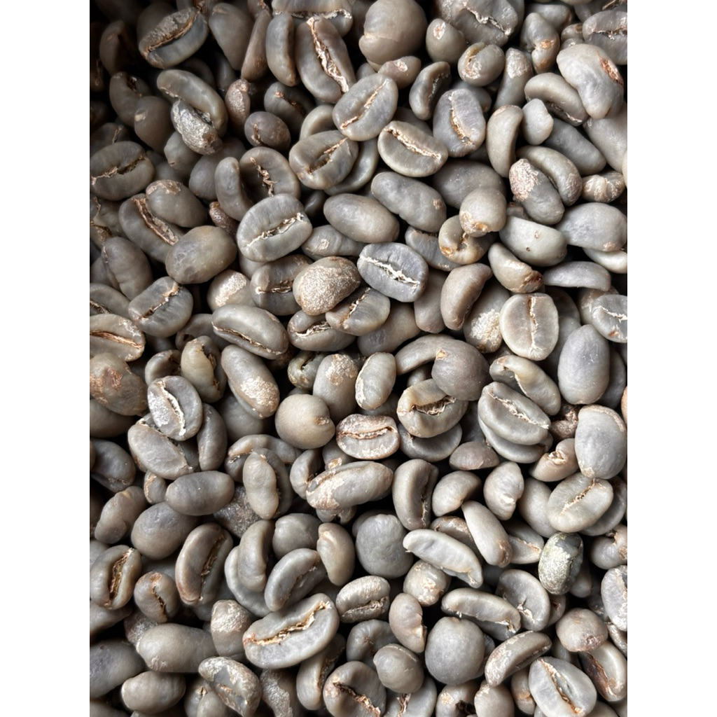 Green beans Full washed Aceh Gayo Biji kopi