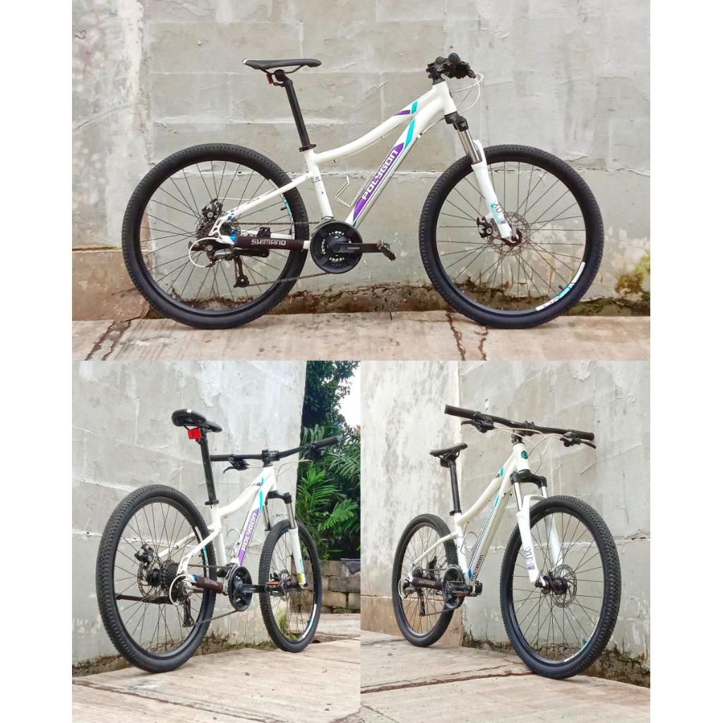 mtb polygon cleo 2