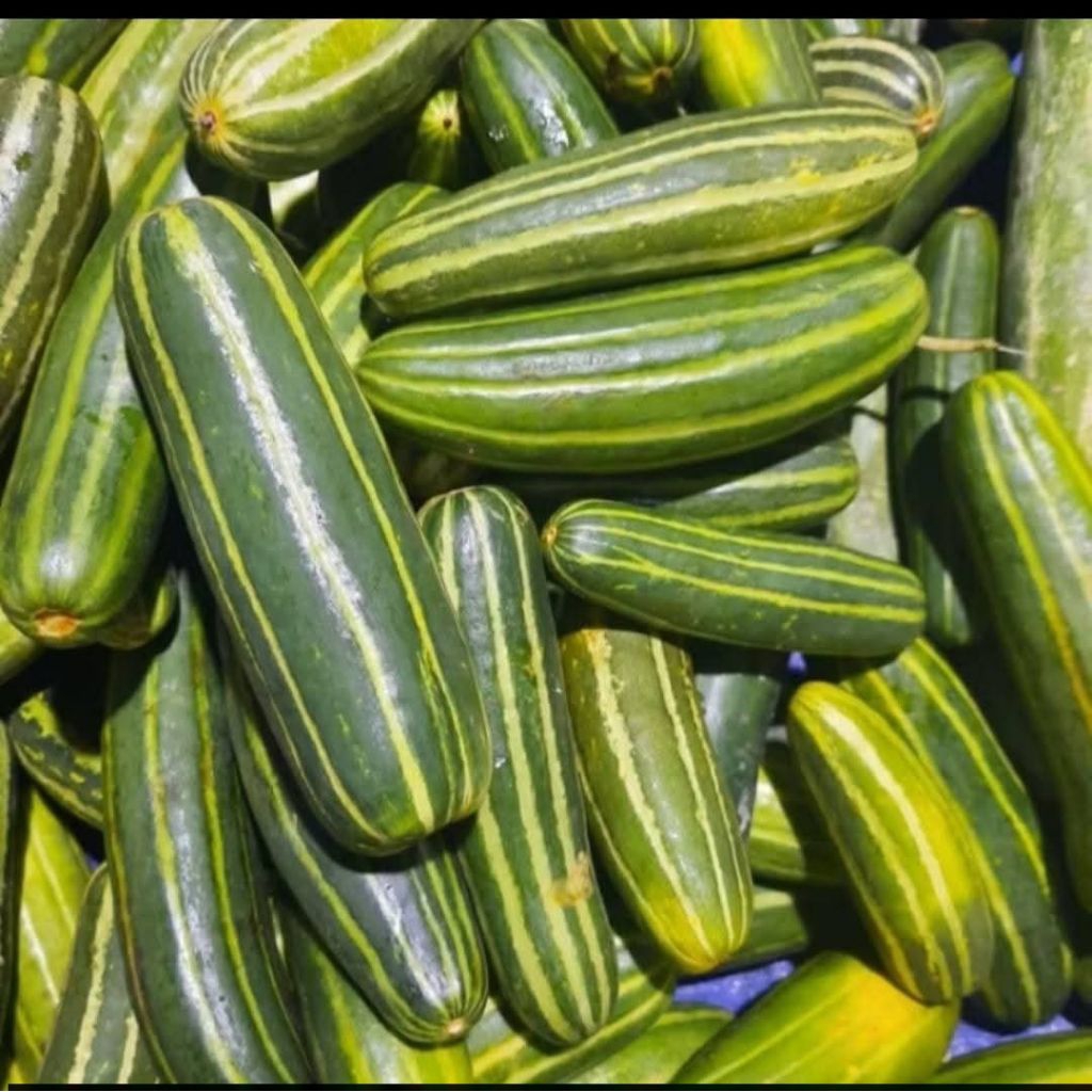 krai segar fress untk rujakan/sayur krai