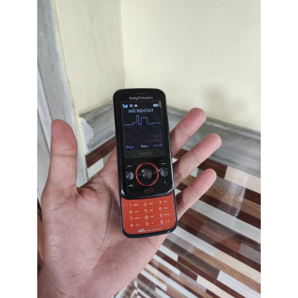 SONY ERICSSON W395