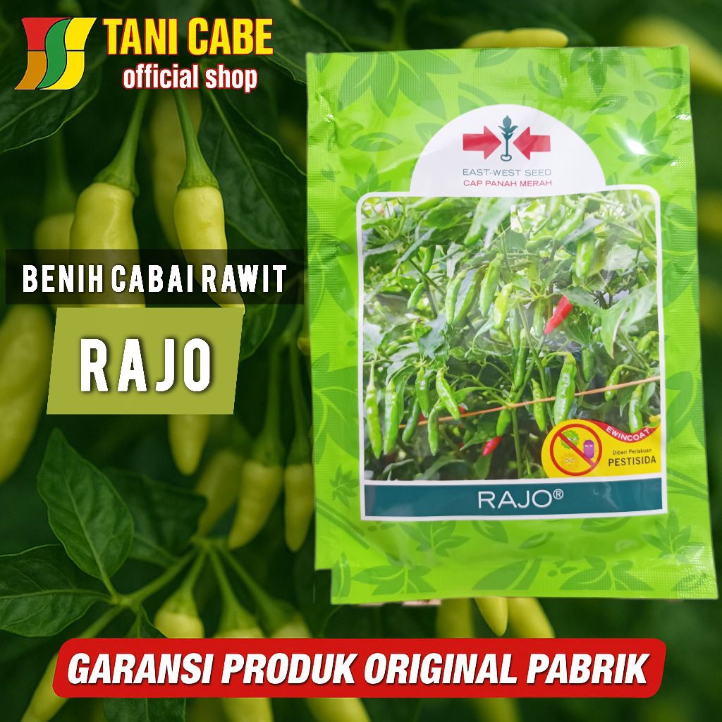 RAJO CABAI RAWIT HIJAU 2250 butir - PANAH MERAH