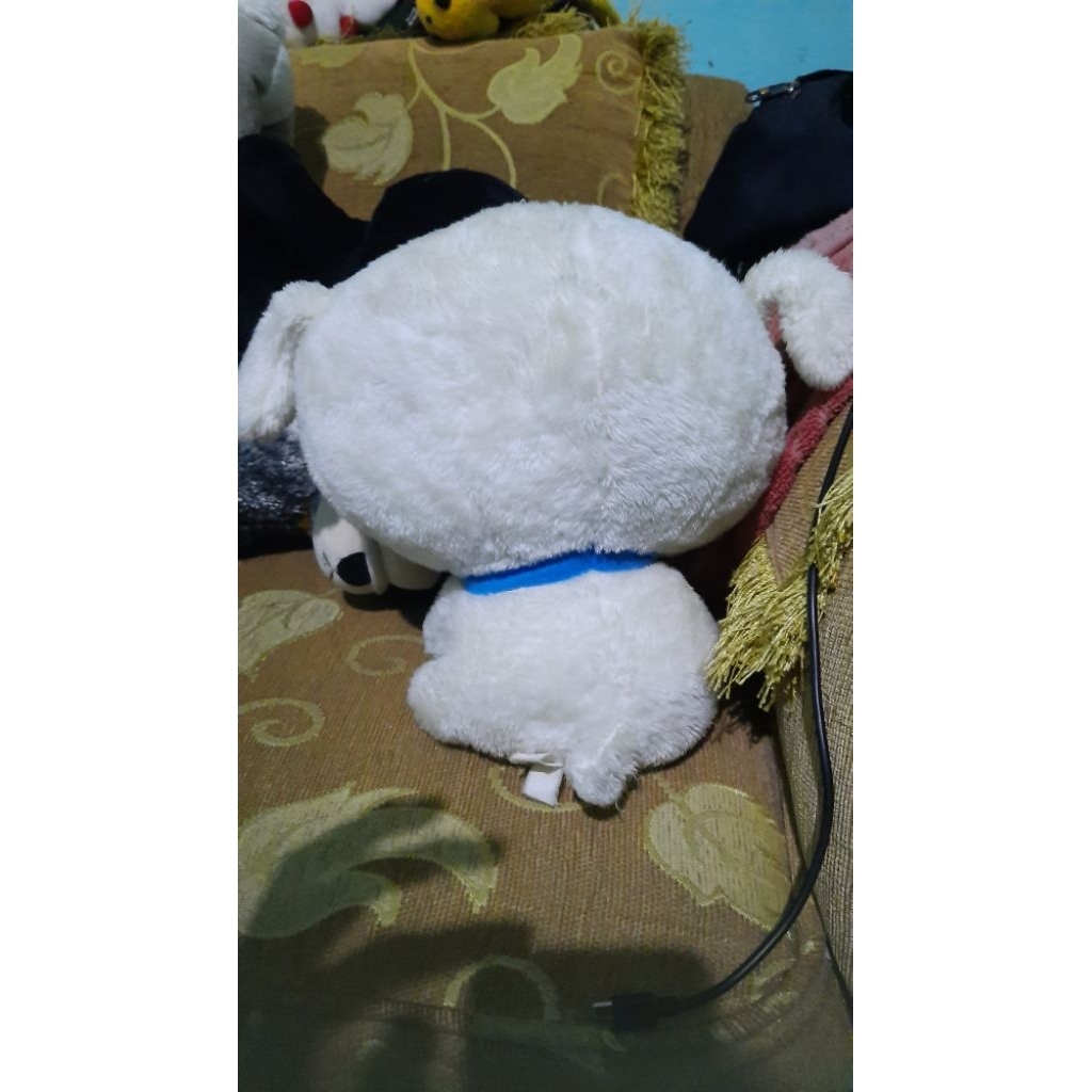 shiro