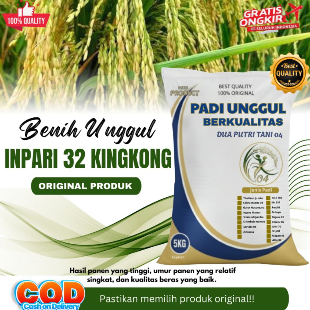 Benih Padi Unggul INPARI 32 KINGKONG Kemasan 5kg