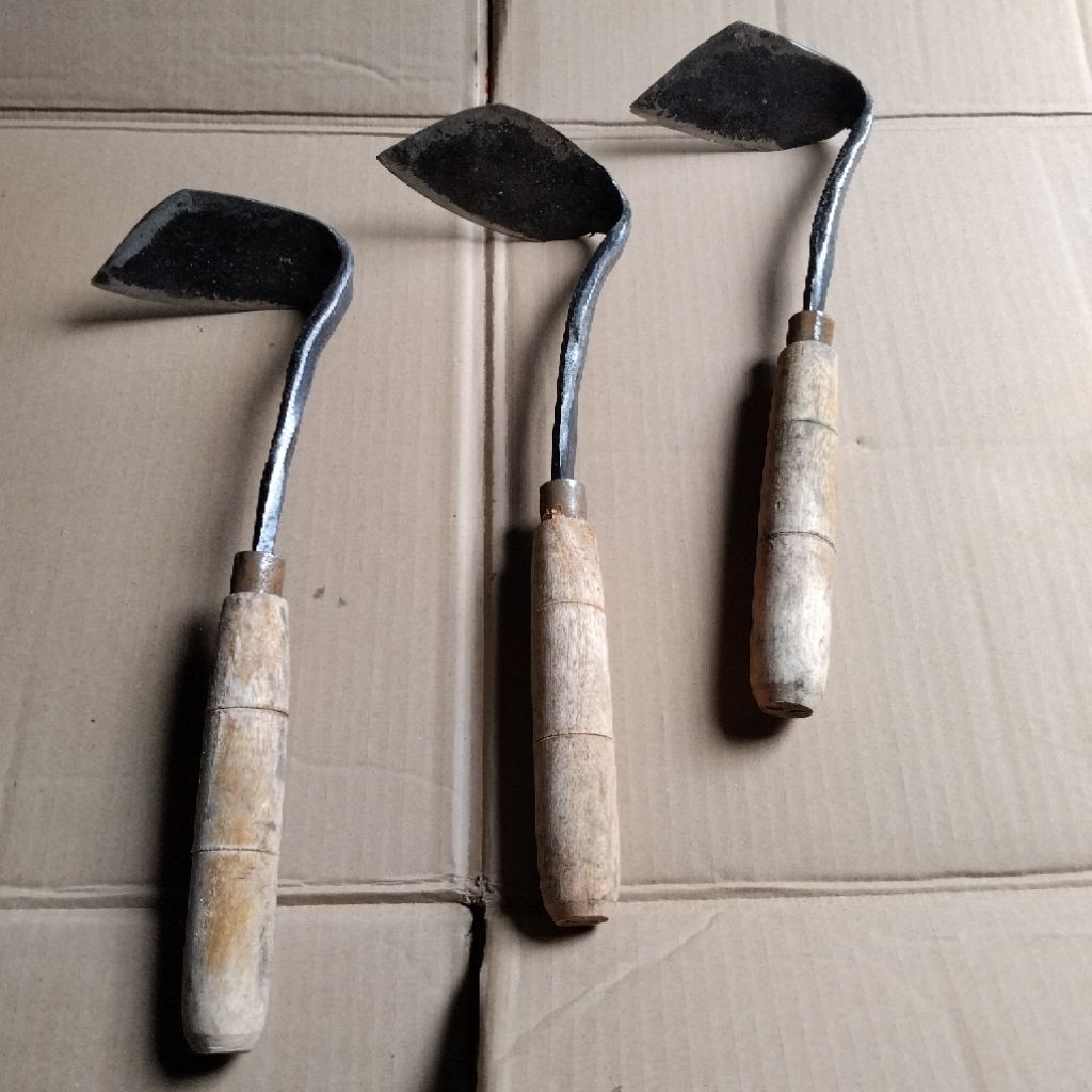 gathul wangkil koret rumput