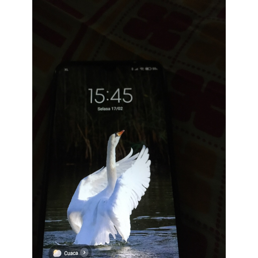 Redmi note 7 Minus layar