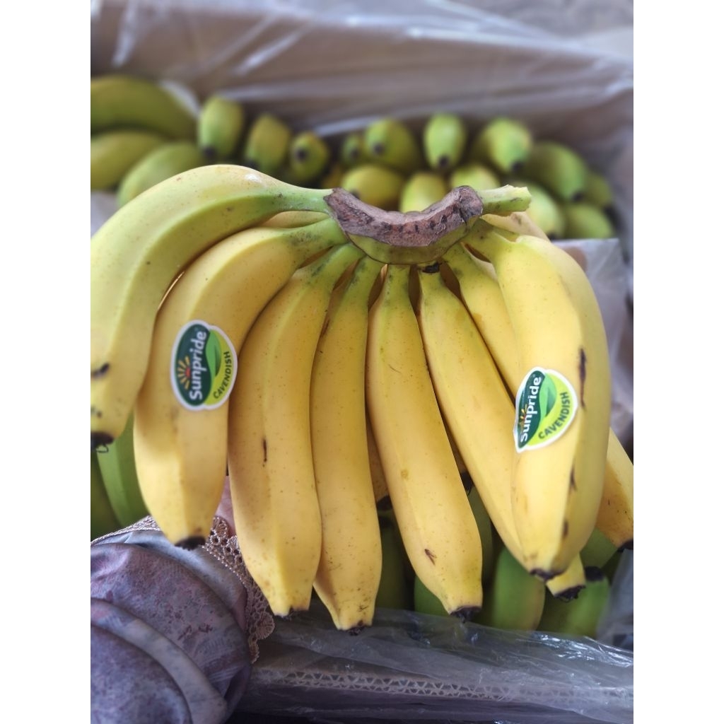 pisang sunpride cavendish