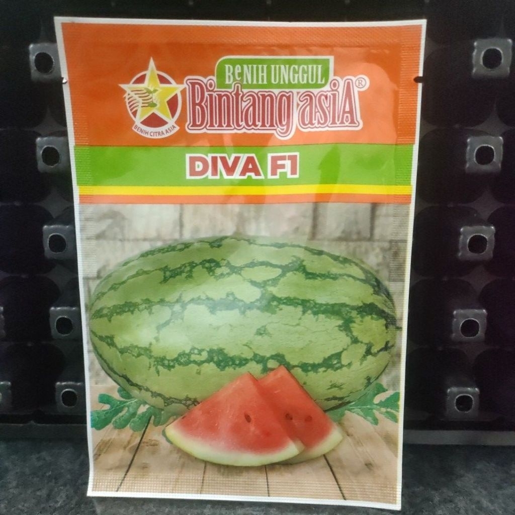 Benih Semangka Hibrida Berbiji Diva F1 Bintang asia