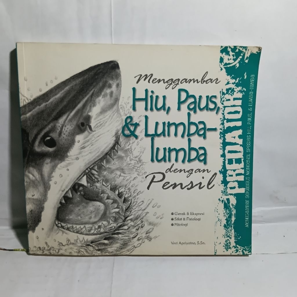 Menggambar Hiu Paus Dan Lumba-Lumba dengan Pensil