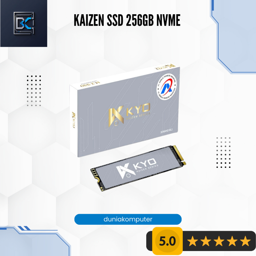 KYO KAIZEN SSD 256GB M.2 NVME GARANSI RESMI