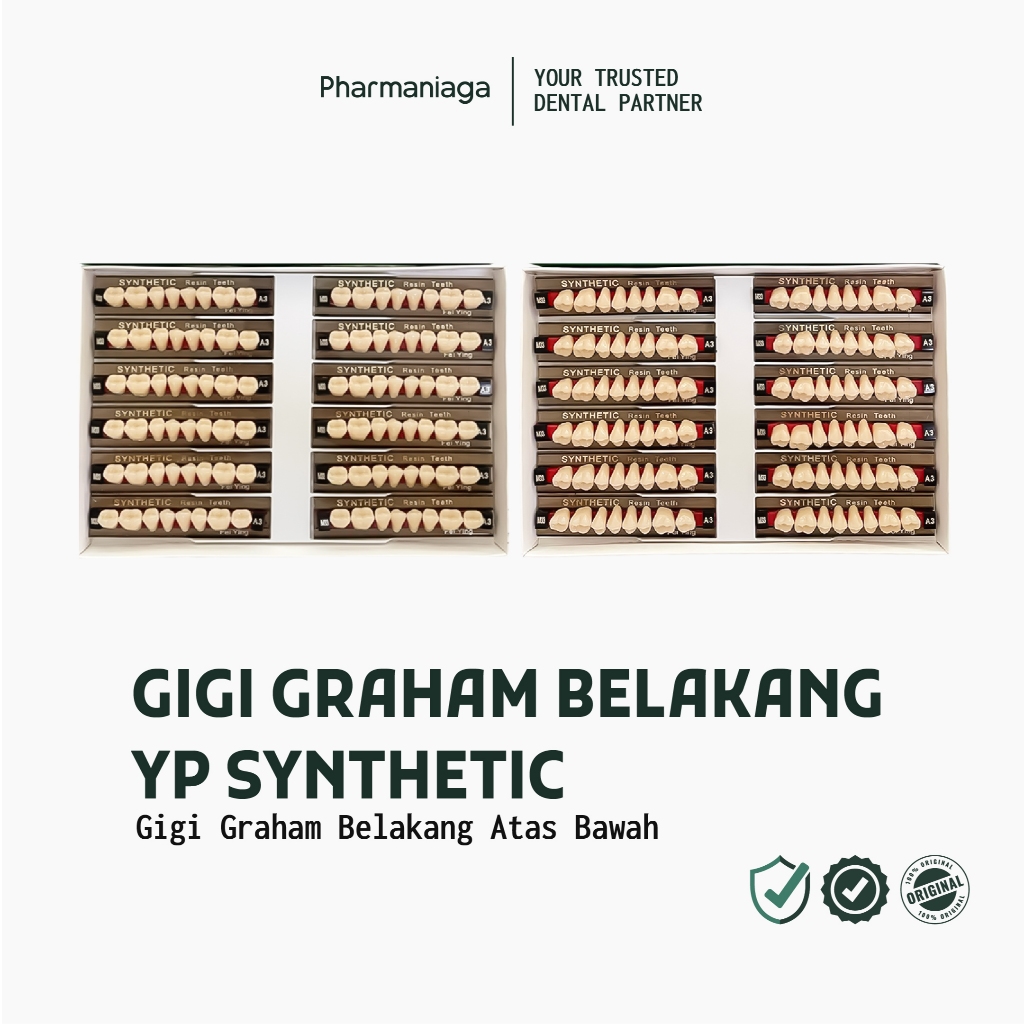 Pharmaniaga - YP Dental Gigi Sintetis Gigi Palsu Graham Bawah 1 Box