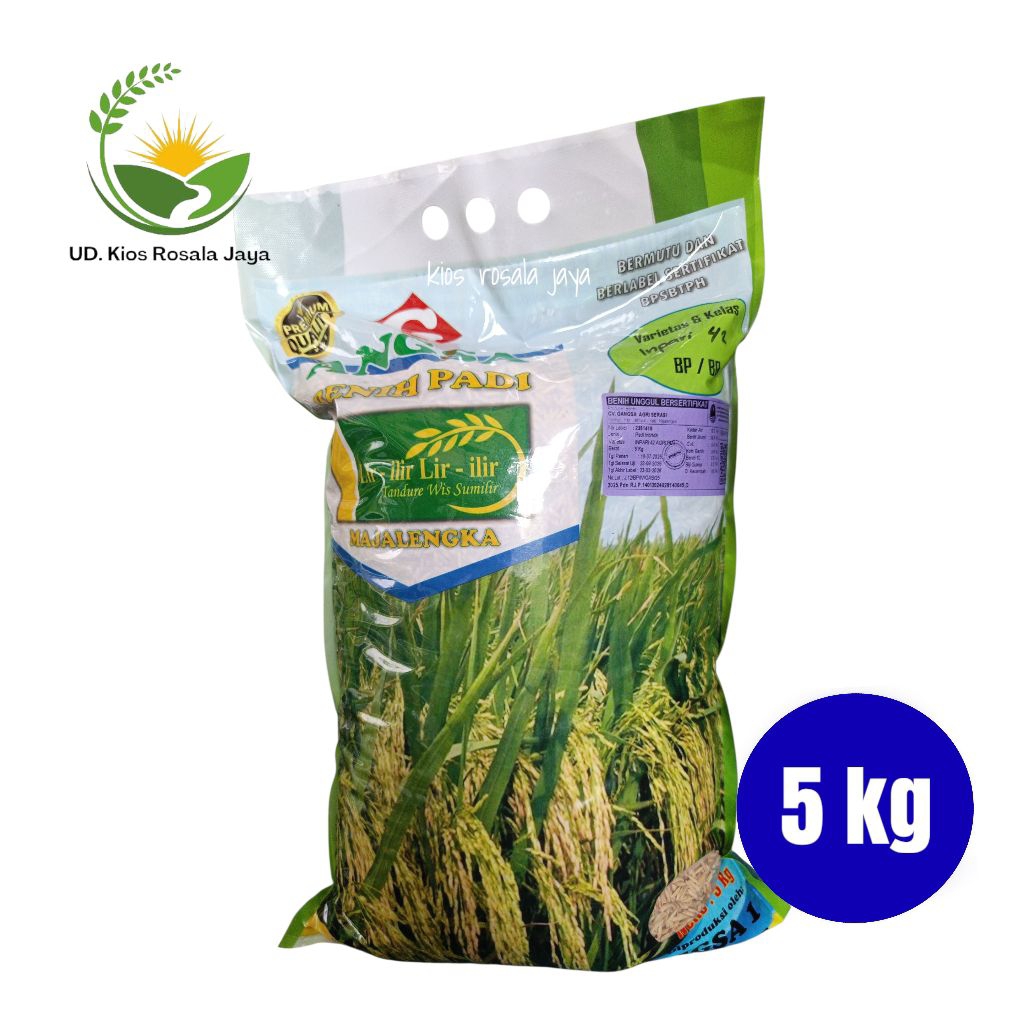 Benih Padi Unggul Inpari 42 GSR kemasan 5 kg