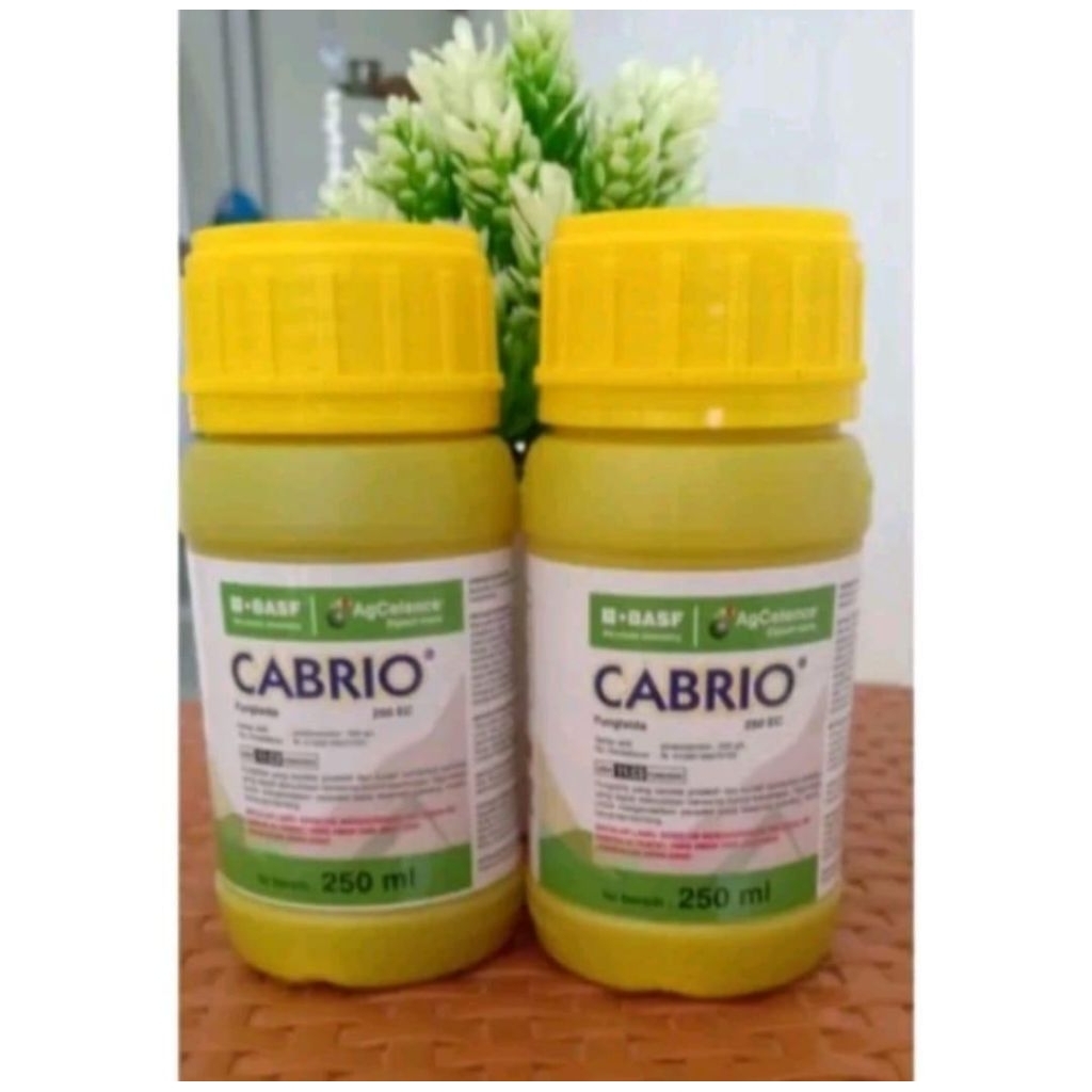 Cabrio EC 250ML & CABRIO EC 100ML